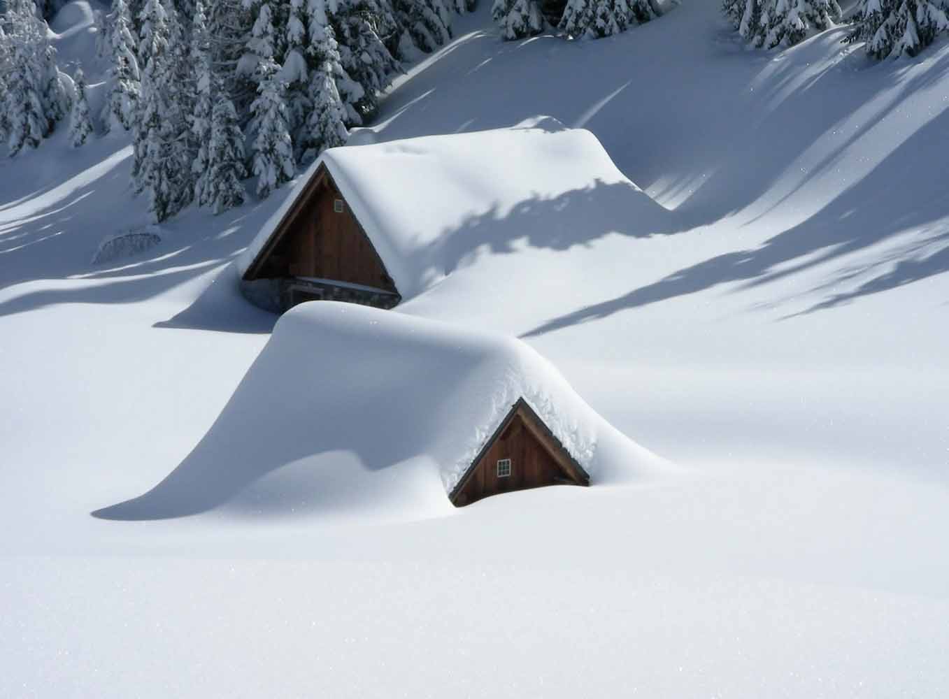 Brown Wooden House and outbuilding Covered With Snow Near Pine Trees