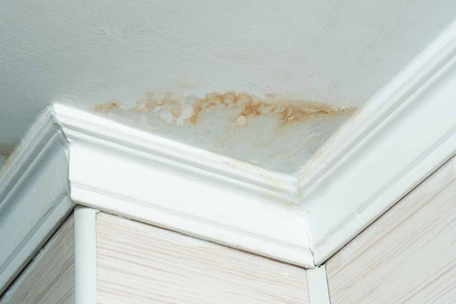 Brown water stain on ceiling caused by a damaged roof