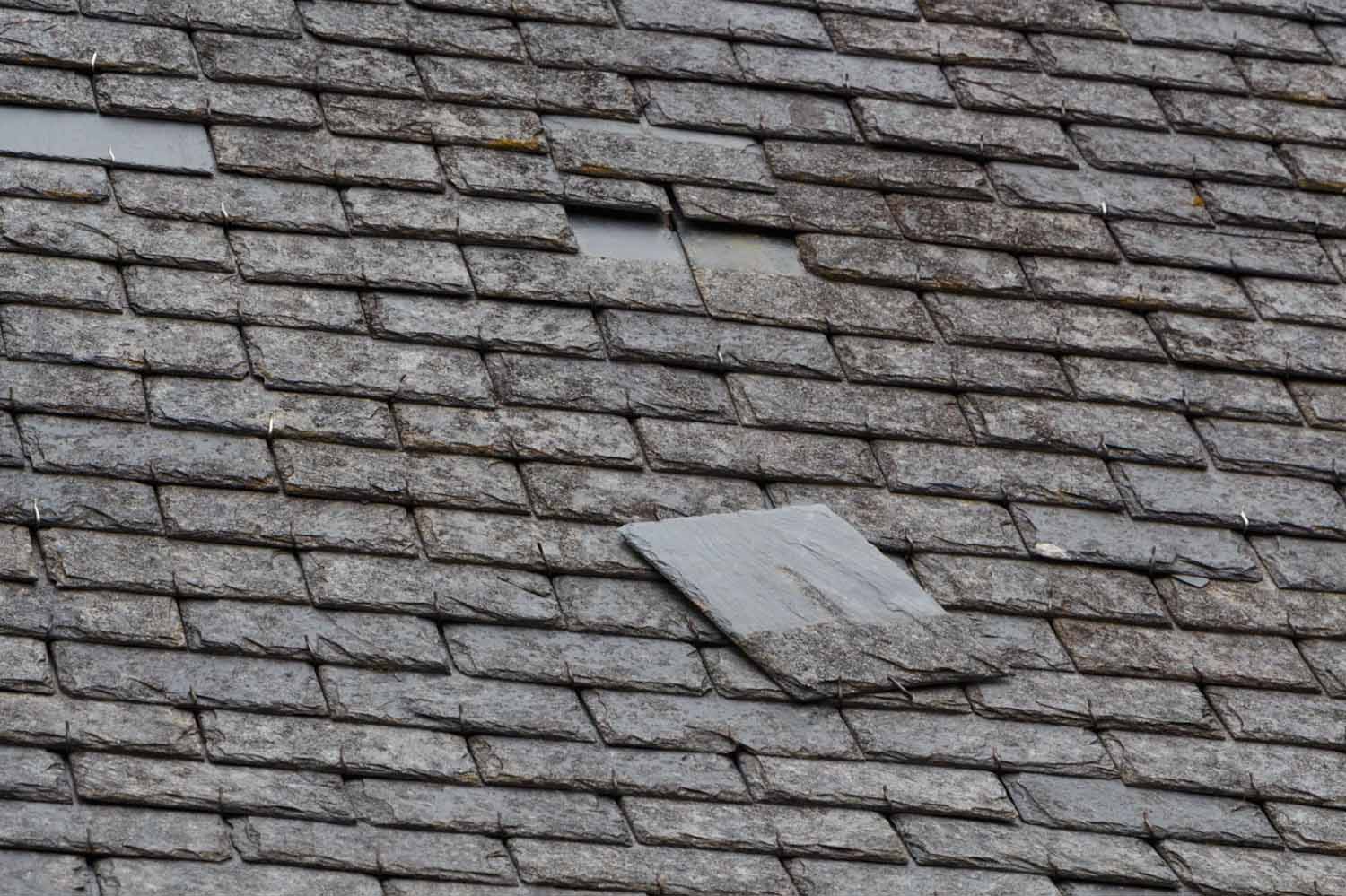 Slate roof tile detached from the roof of a house