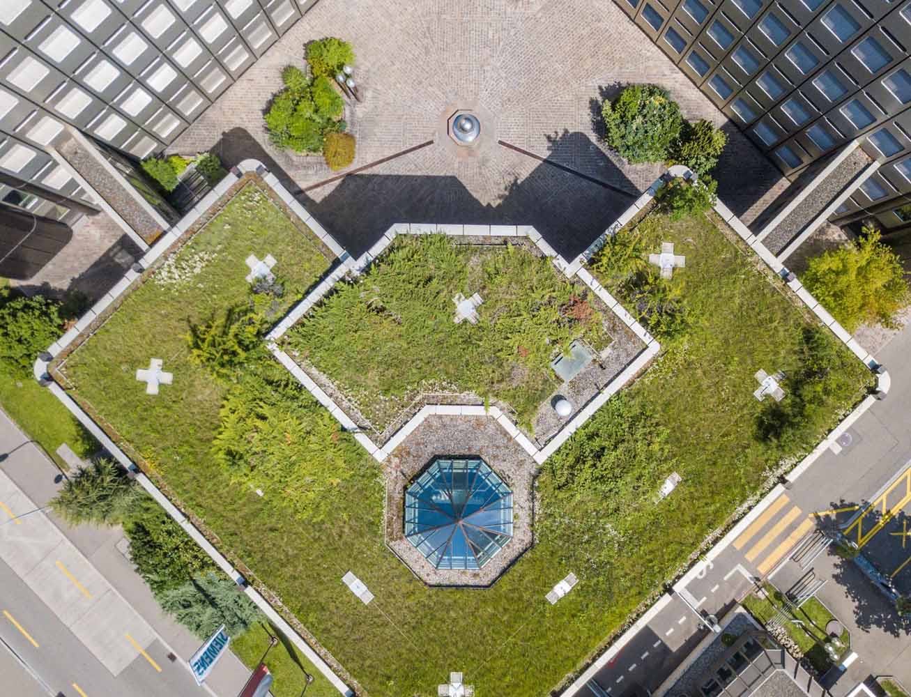 Aerial view of rooftop garden, or a living roof, in urban residential area