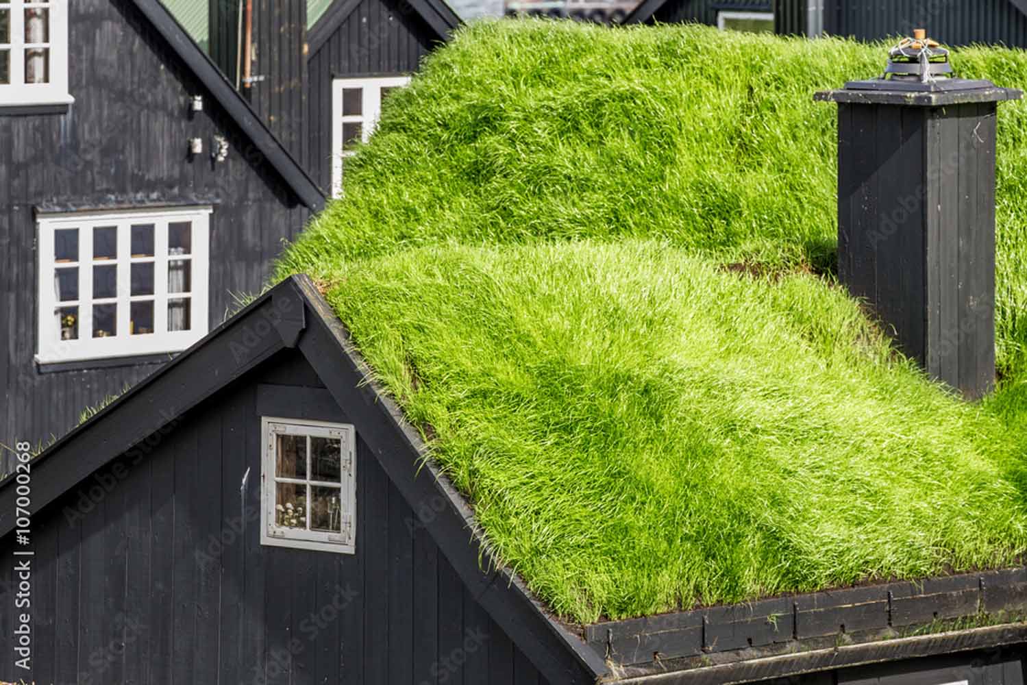 Black wooden house with living roof consisting mainly of grasses