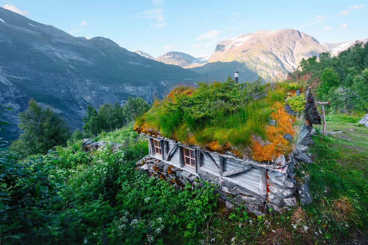 Living roof on a cabin in the mountains