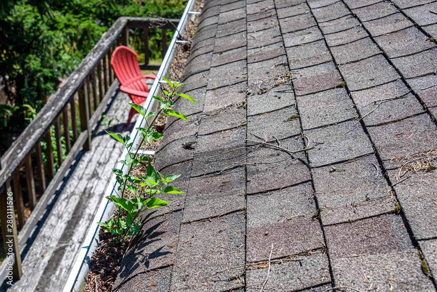 A roof that desperately needs to be cleaned off and have the gutters cleaned out.