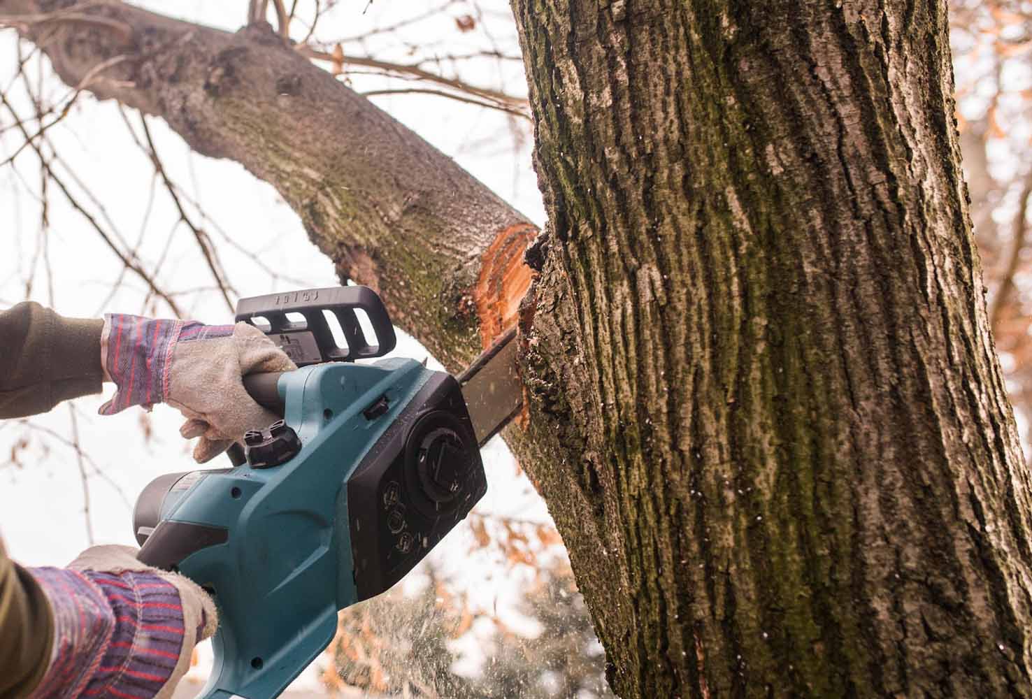 Man cutting a tree branch with chainsaw so it doesn’t fall onto his roof 