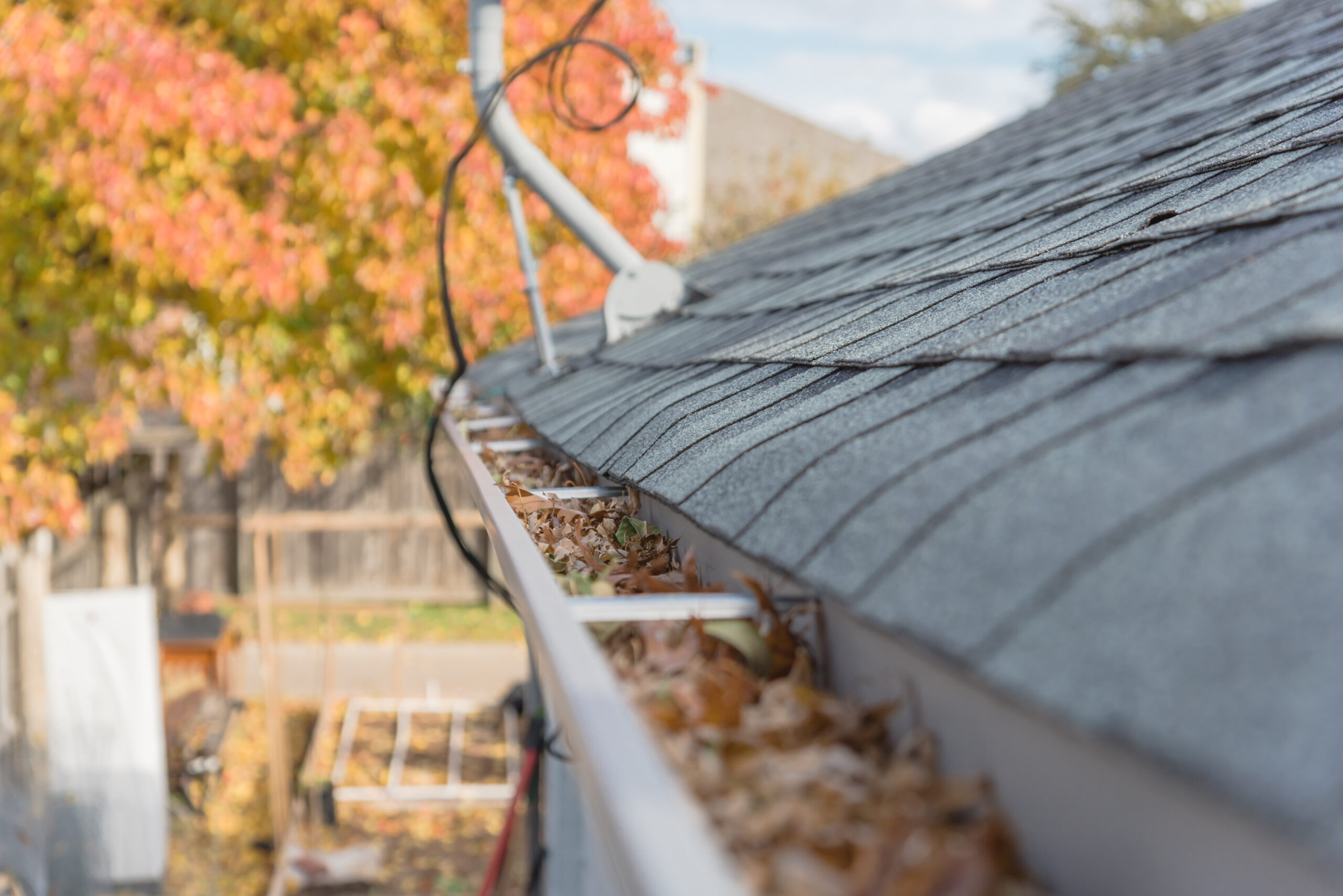 Clogged gutter near roof shingles with colorful fall foliage in background