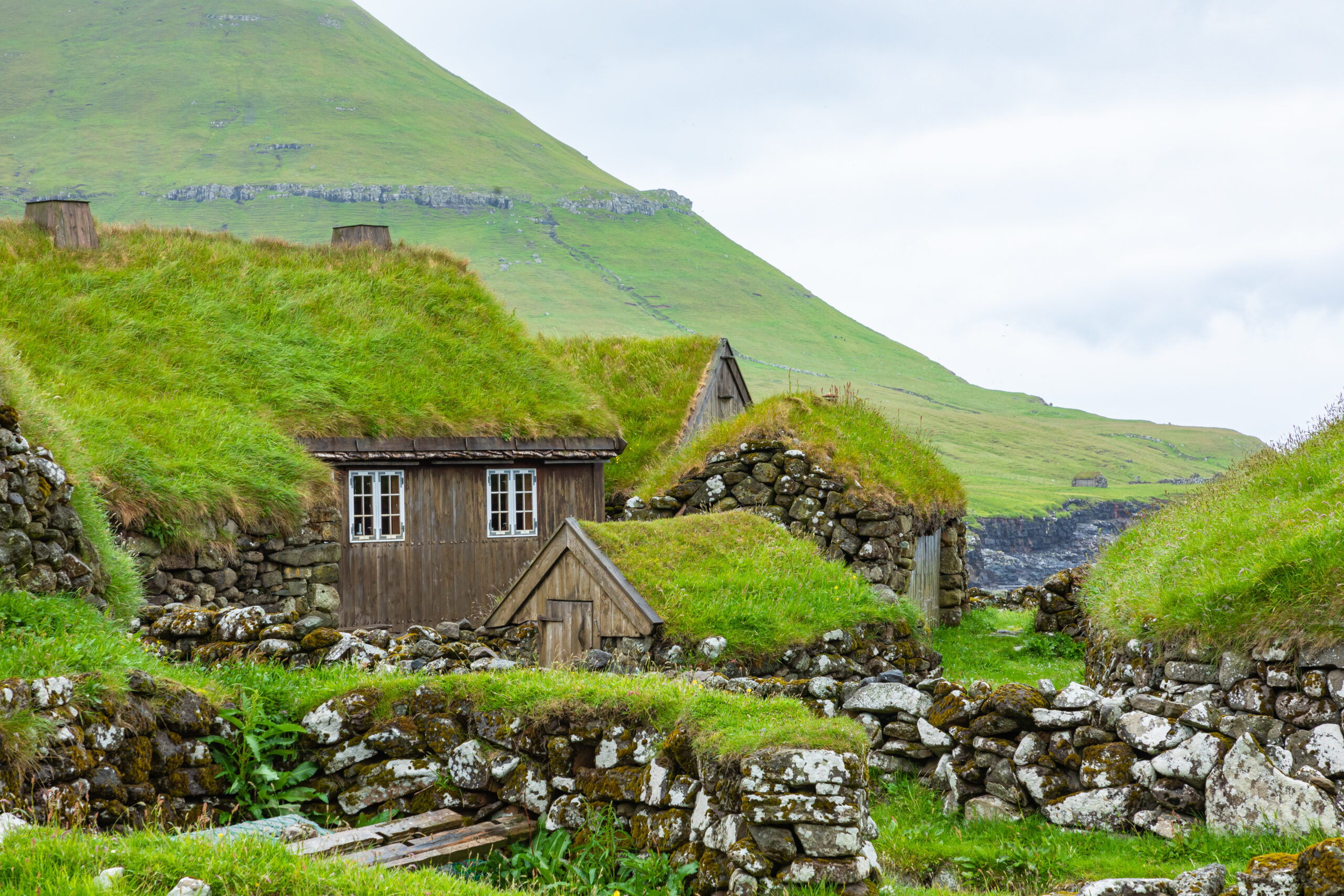 Houses and outbuilding with green roofs