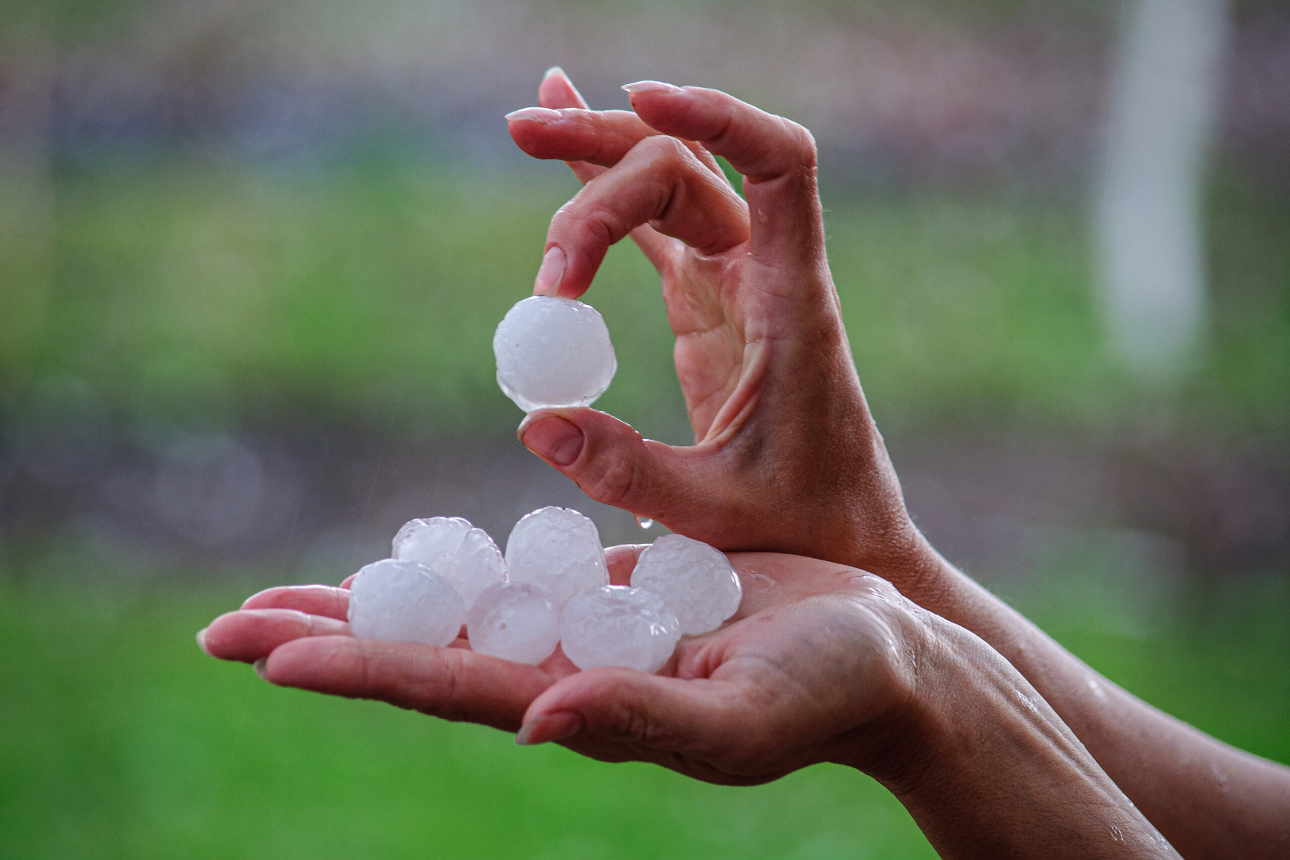 Woman’s hands holding large hailstones
