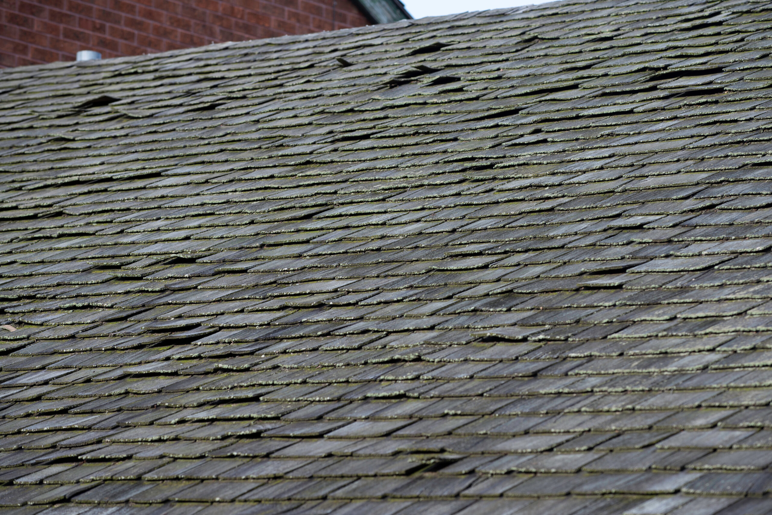 Old, damaged shingle roof
