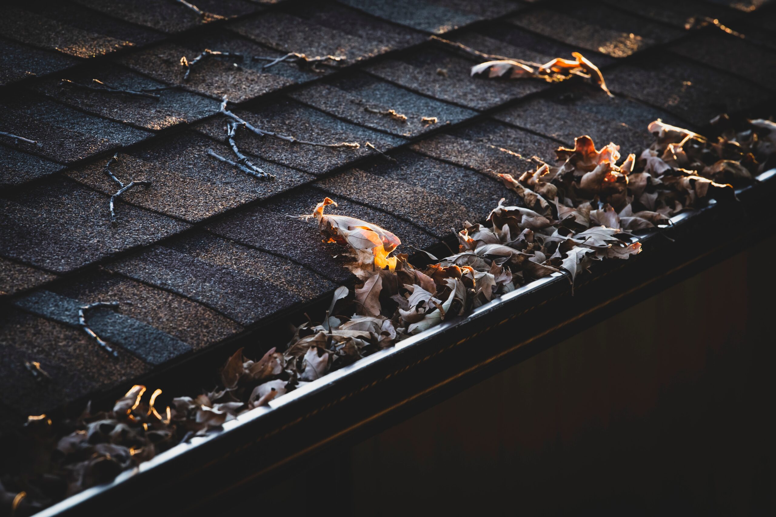 Asphalt roof and gutters clogged with leaves