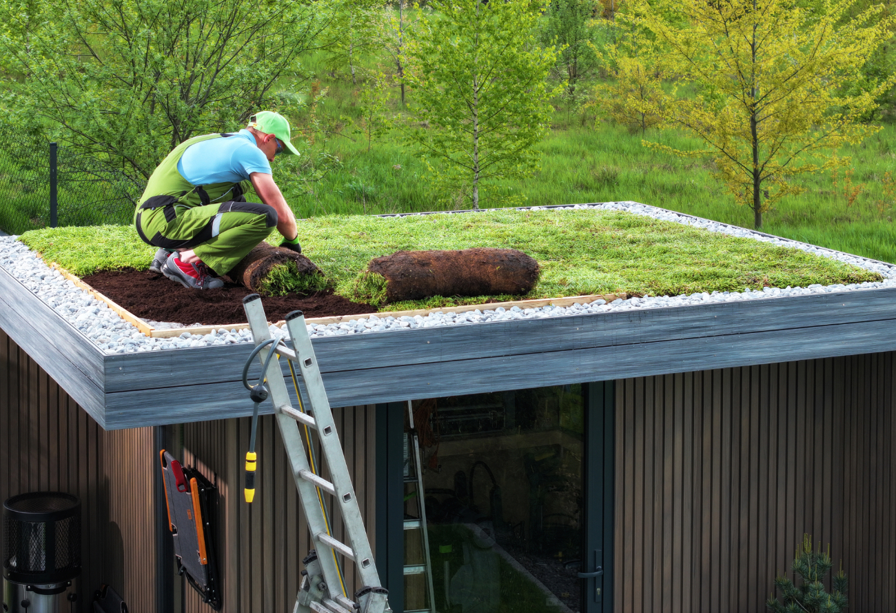 Man installing sod on a green roof, with tools and a ladder nearby. 