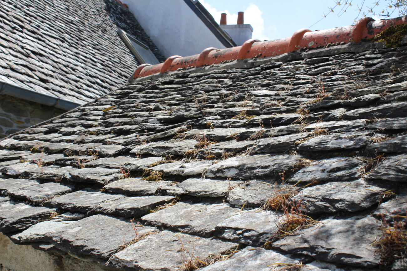 Low angle view of an aged slate roof with moss growth, adjacent to a roof with terracotta tiles. 