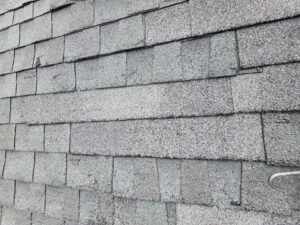 Carlisle Avenue - project photo 3