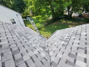 Carlisle Avenue - project photo 7